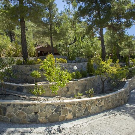 Ricky Chalet Near Troodos Spilia Exterior photo
