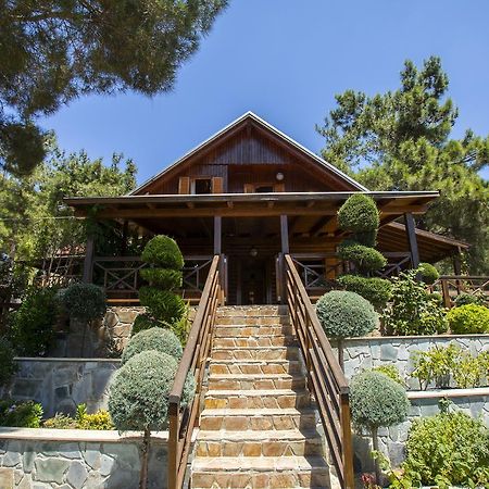 Ricky Chalet Near Troodos Spilia Exterior photo