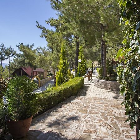 Ricky Chalet Near Troodos Spilia Exterior photo
