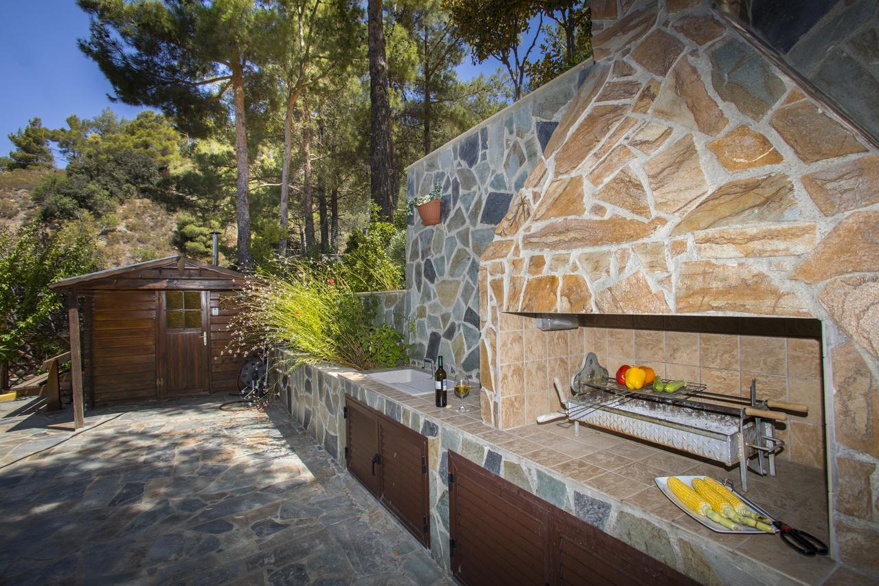 Ricky Chalet Near Troodos Spilia Exterior photo