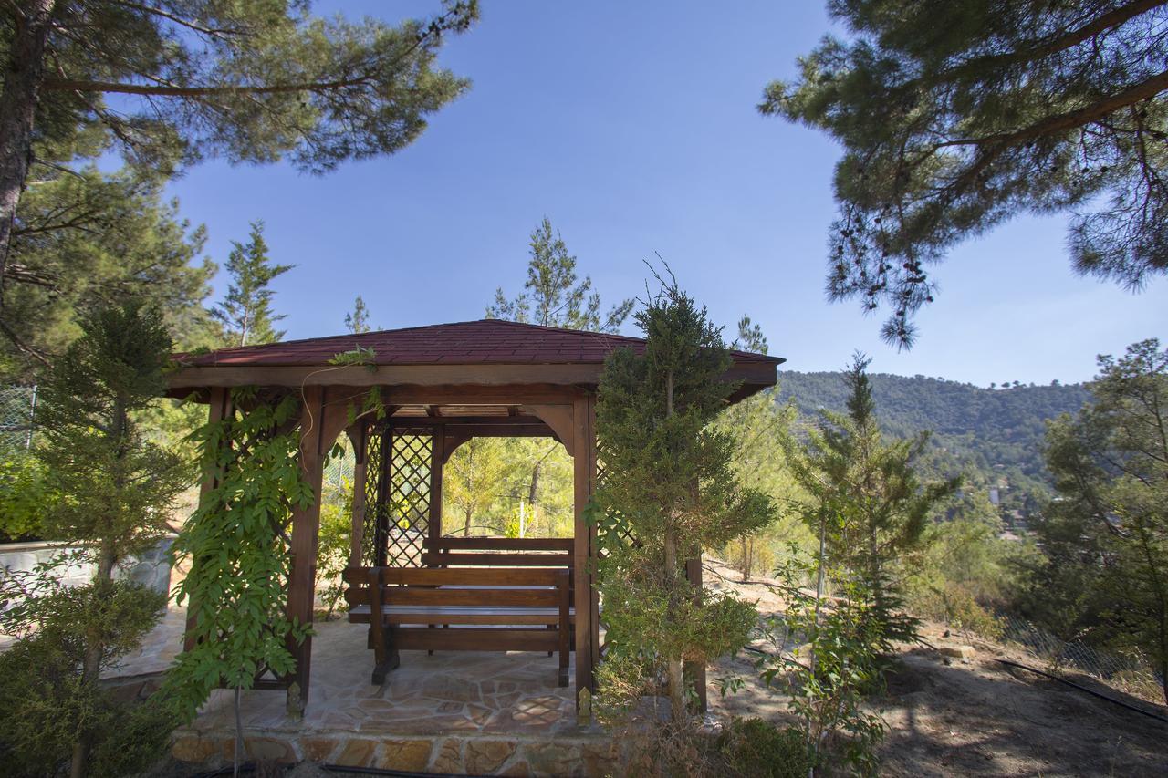Ricky Chalet Near Troodos Spilia Exterior photo