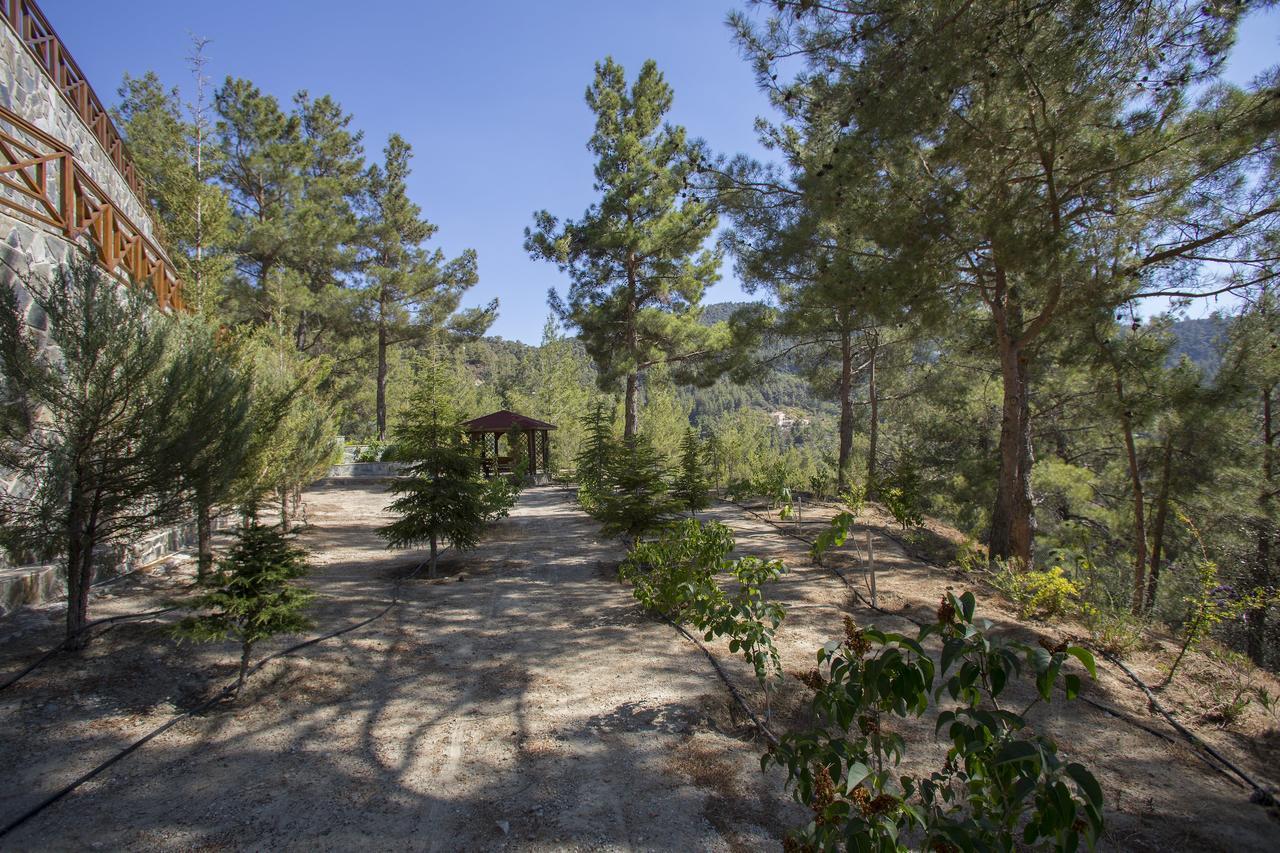 Ricky Chalet Near Troodos Spilia Exterior photo