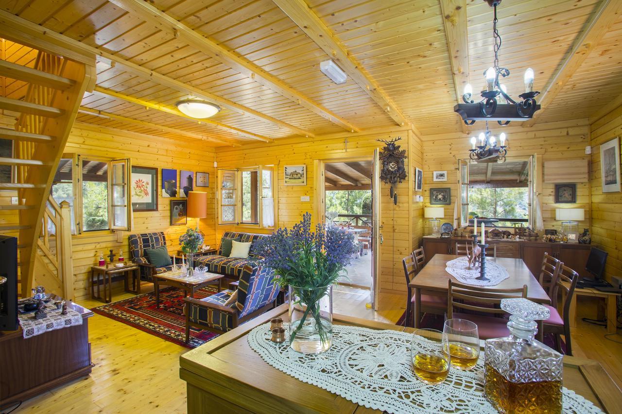 Ricky Chalet Near Troodos Spilia Exterior photo