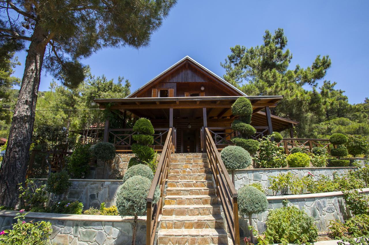Ricky Chalet Near Troodos Spilia Exterior photo