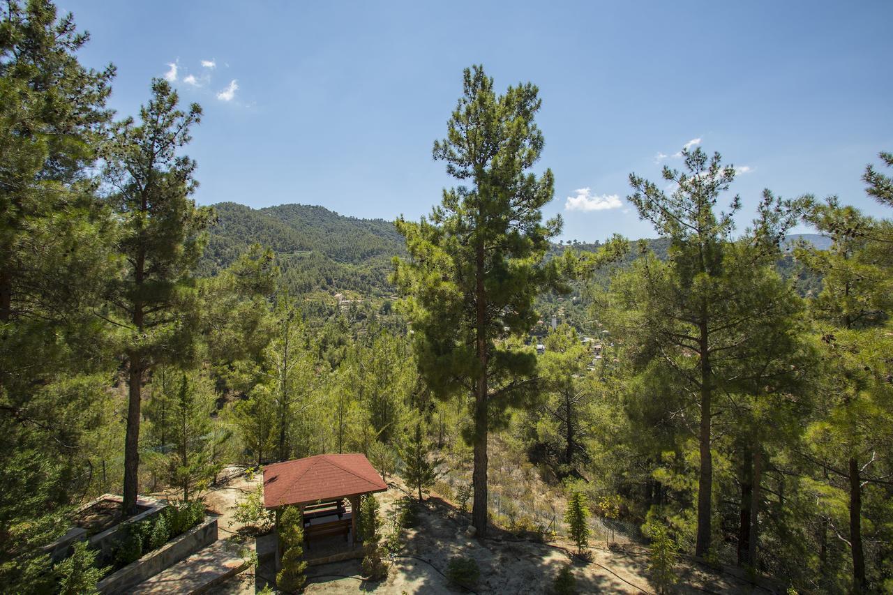 Ricky Chalet Near Troodos Spilia Exterior photo