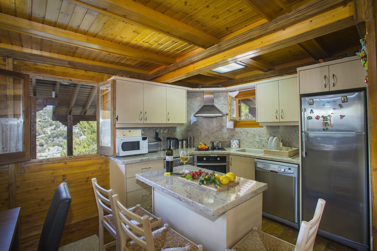 Ricky Chalet Near Troodos Spilia Exterior photo