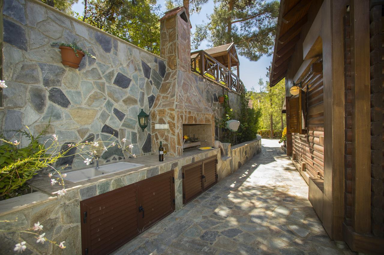 Ricky Chalet Near Troodos Spilia Exterior photo